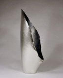 vase-_-struggle-_-1
